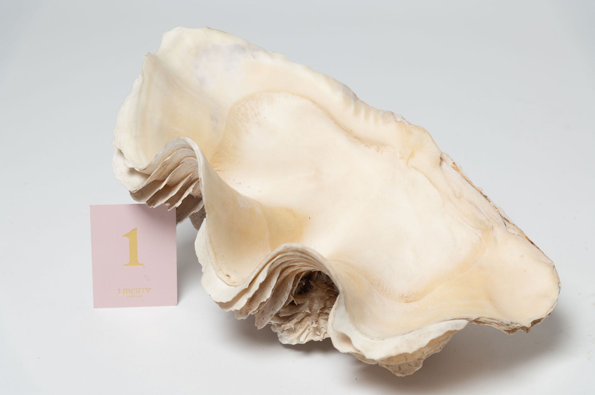 Hand crafted Indian wall shelf display unit – Decorative Antiques UK