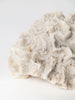 Antique natural brain coral