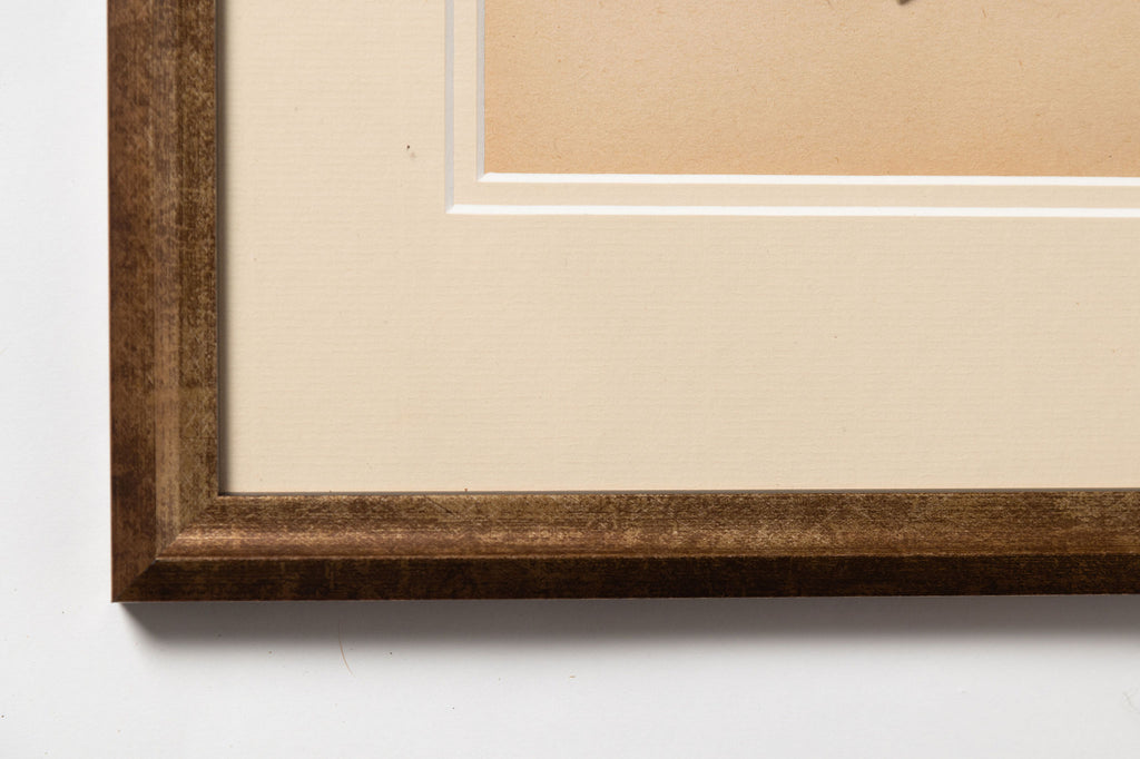 Antique Swedish Herbarium, dated 1924