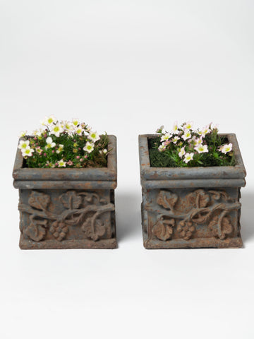 Charming pair small antique French cast iron planters