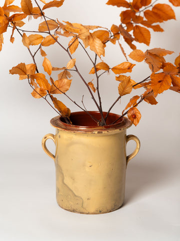 Antique French Digoin Confit pot with creamy mustard glaze and two handles