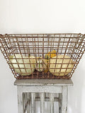 Vintage French Oyster basket