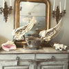 Lovely Large Conch Shell - Decorative Antiques UK  - 8