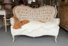 Beautiful 19th Century Swedish Sofa - Decorative Antiques UK  - 4