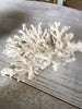 Gorgeous Collection of Vintage White Coral - Decorative Antiques UK  - 6