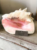 Lovely Large Conch Shell - Decorative Antiques UK  - 1