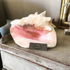 Lovely Large Conch Shell - Decorative Antiques UK  - 2
