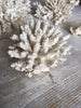 Gorgeous Collection of Vintage White Coral - Decorative Antiques UK  - 8