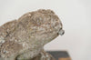 Vintage Stone Frog garden ornament - Decorative Antiques UK  - 5