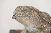 Vintage Stone Frog garden ornament - Decorative Antiques UK  - 6