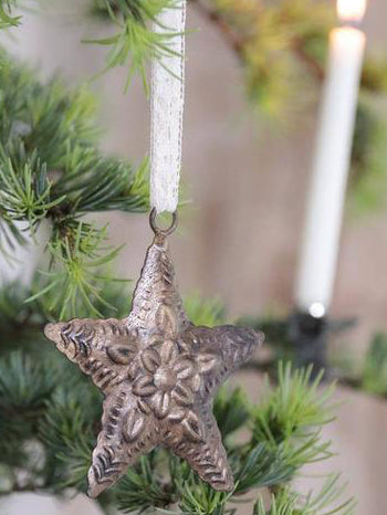 Jeanne D'Arc Living Christmas Star in Silver