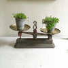 Pretty Vintage French Force Balance Scales - Decorative Antiques UK  - 6