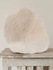 Beautiful Collection of Vintage "Elephant Ear Mushroom" Coral - Decorative Antiques UK  - 8