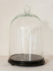 Collection Vintage Glass Cloches/Domes - Decorative Antiques UK  - 4
