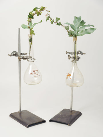 Lovely Pair Vintage Science Lab Retort Stands, Clamps and Flasks