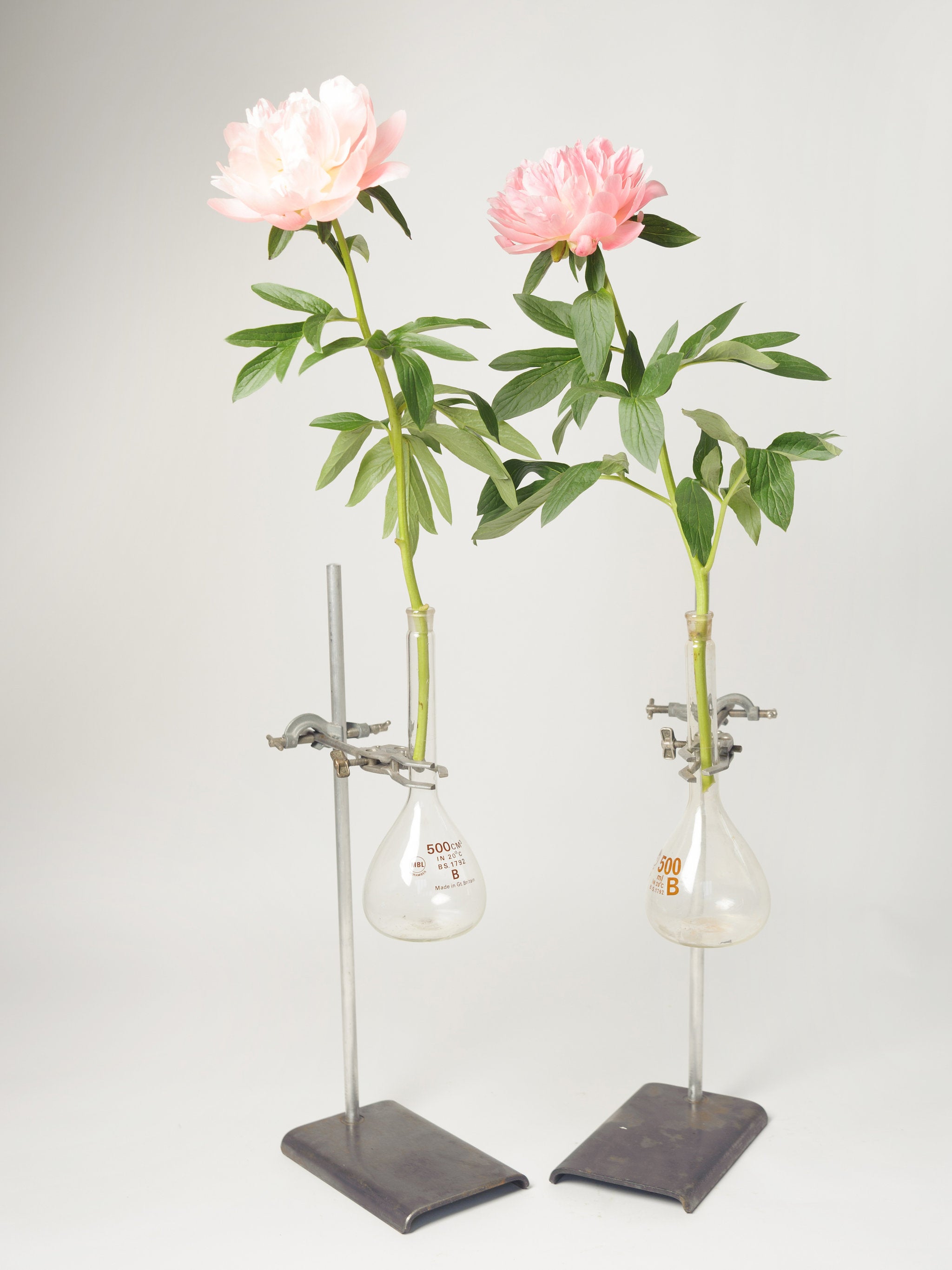 Lovely Pair Vintage Science Lab Retort Stands, Clamps and Flasks