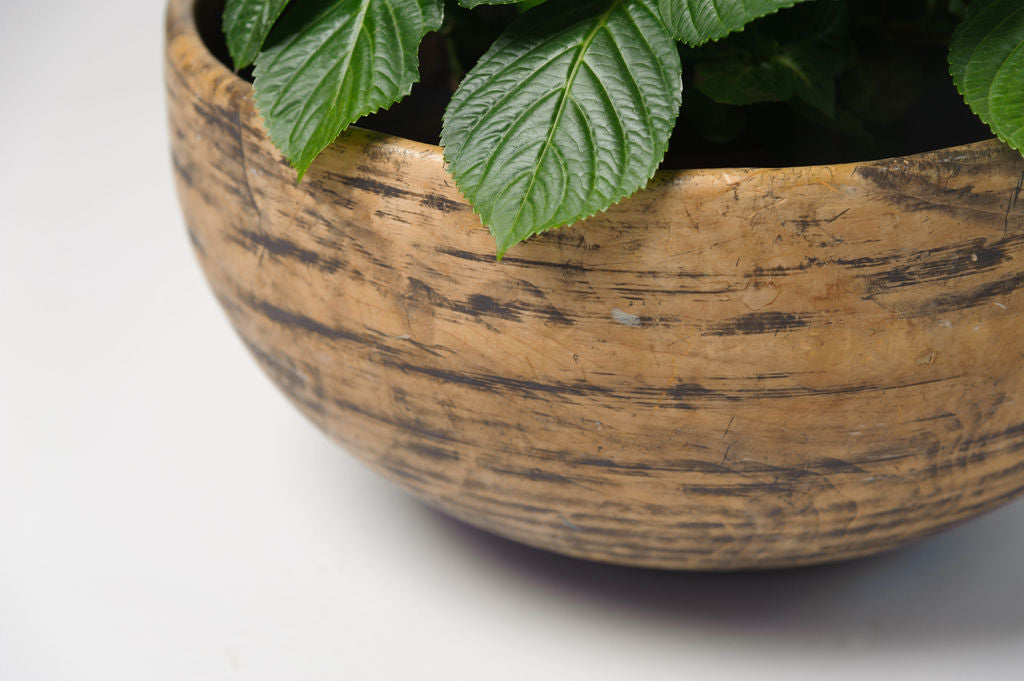 Antique Swedish Root Knot Bowl
