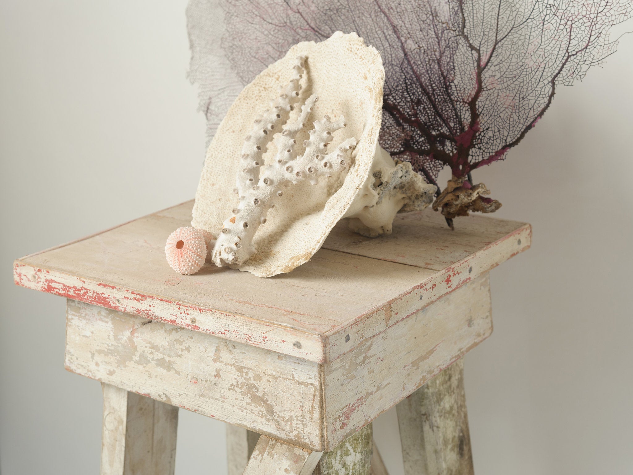 Antique Italian Rustic Sculptures Stand