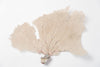 Natural Sea Fan Coral with Cream/Pink colouring