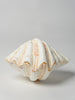 Beautiful Complete Large Clam Shell