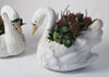 Pair Vintage French Swan Planters