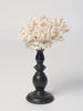 Vintage white coral on stand