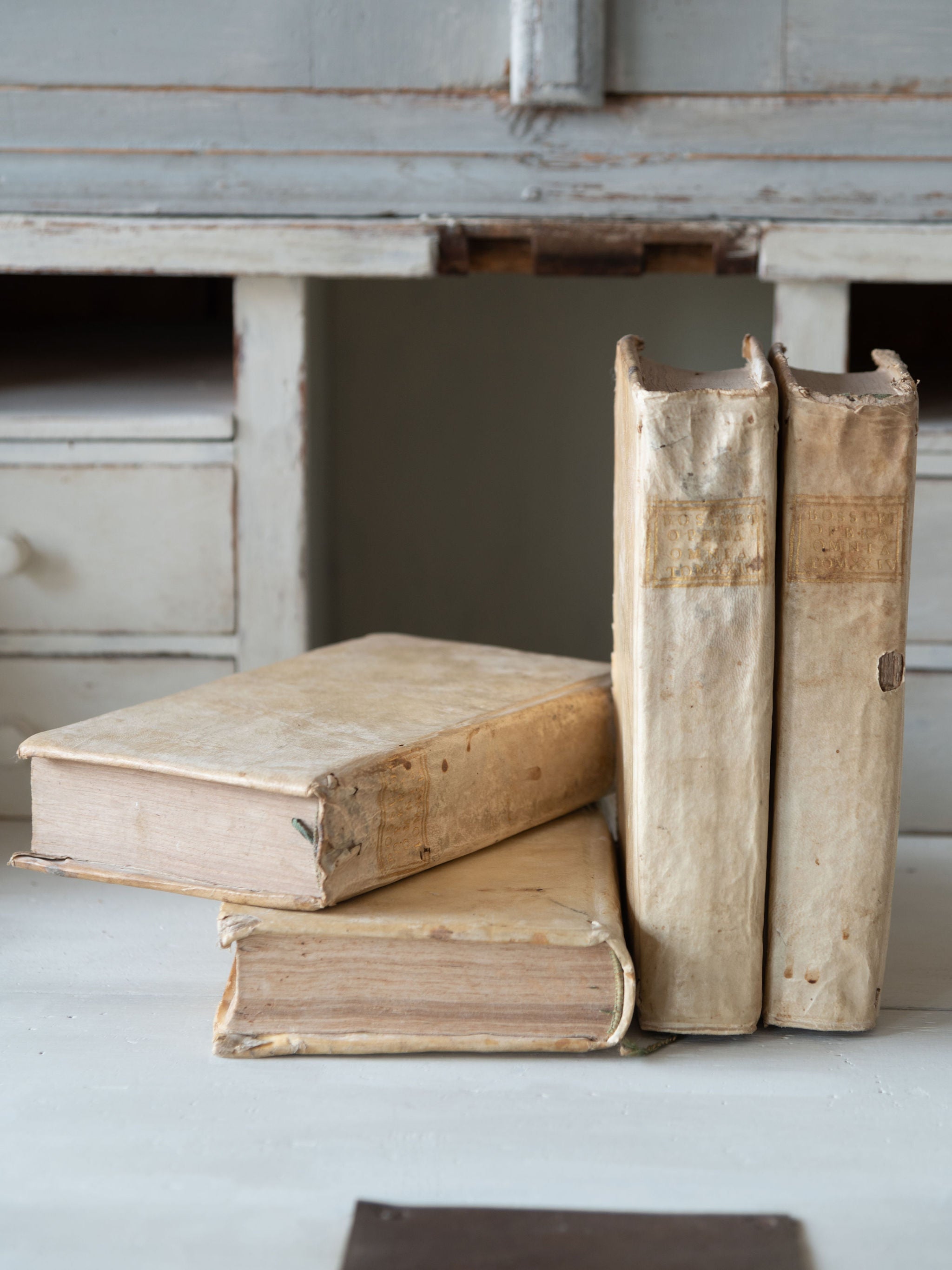 Collection antique 18th century Italian Vellum books