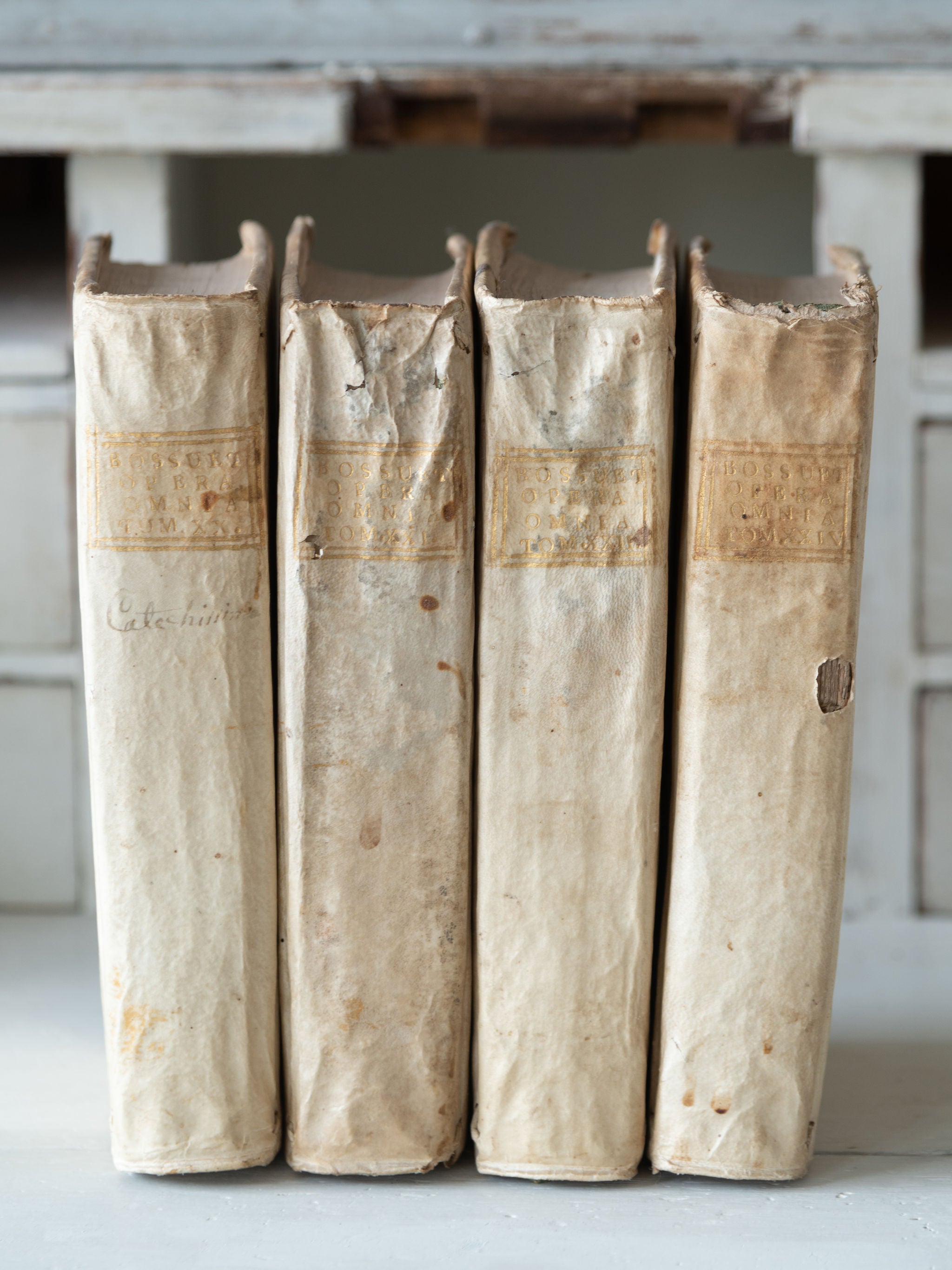 Collection antique 18th century Italian Vellum books