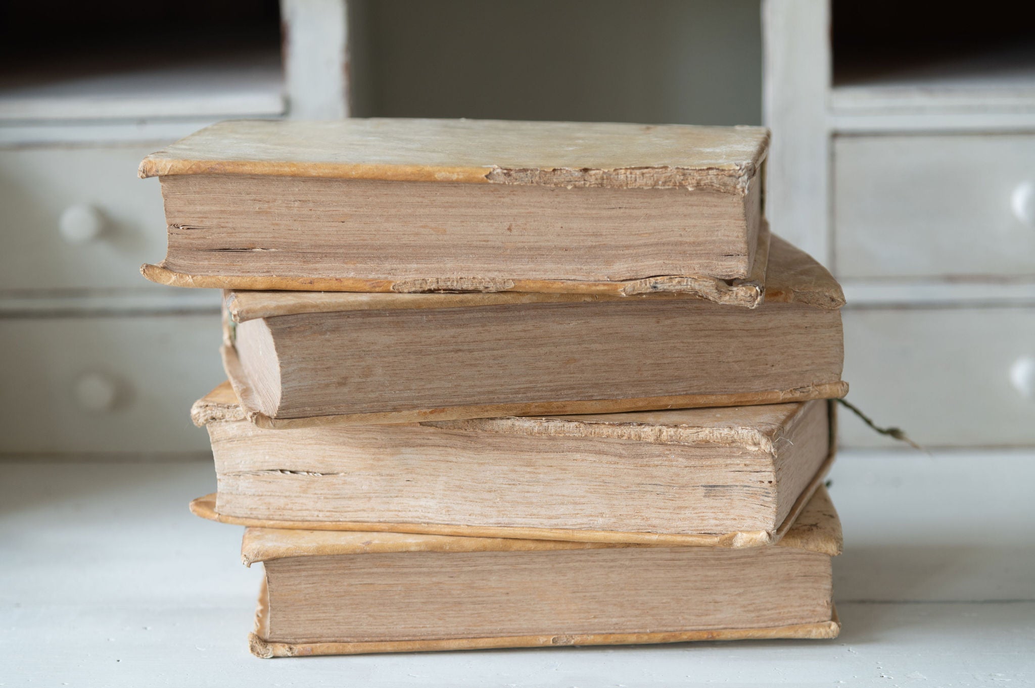 Collection antique 18th century Italian Vellum books