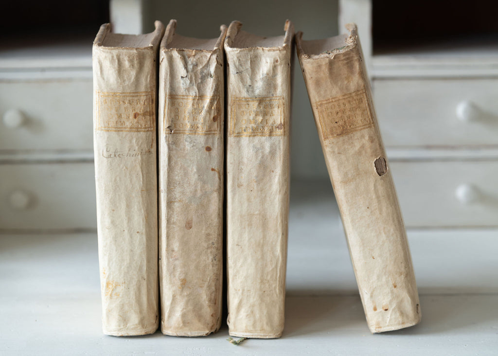 Collection antique 18th century Italian Vellum books