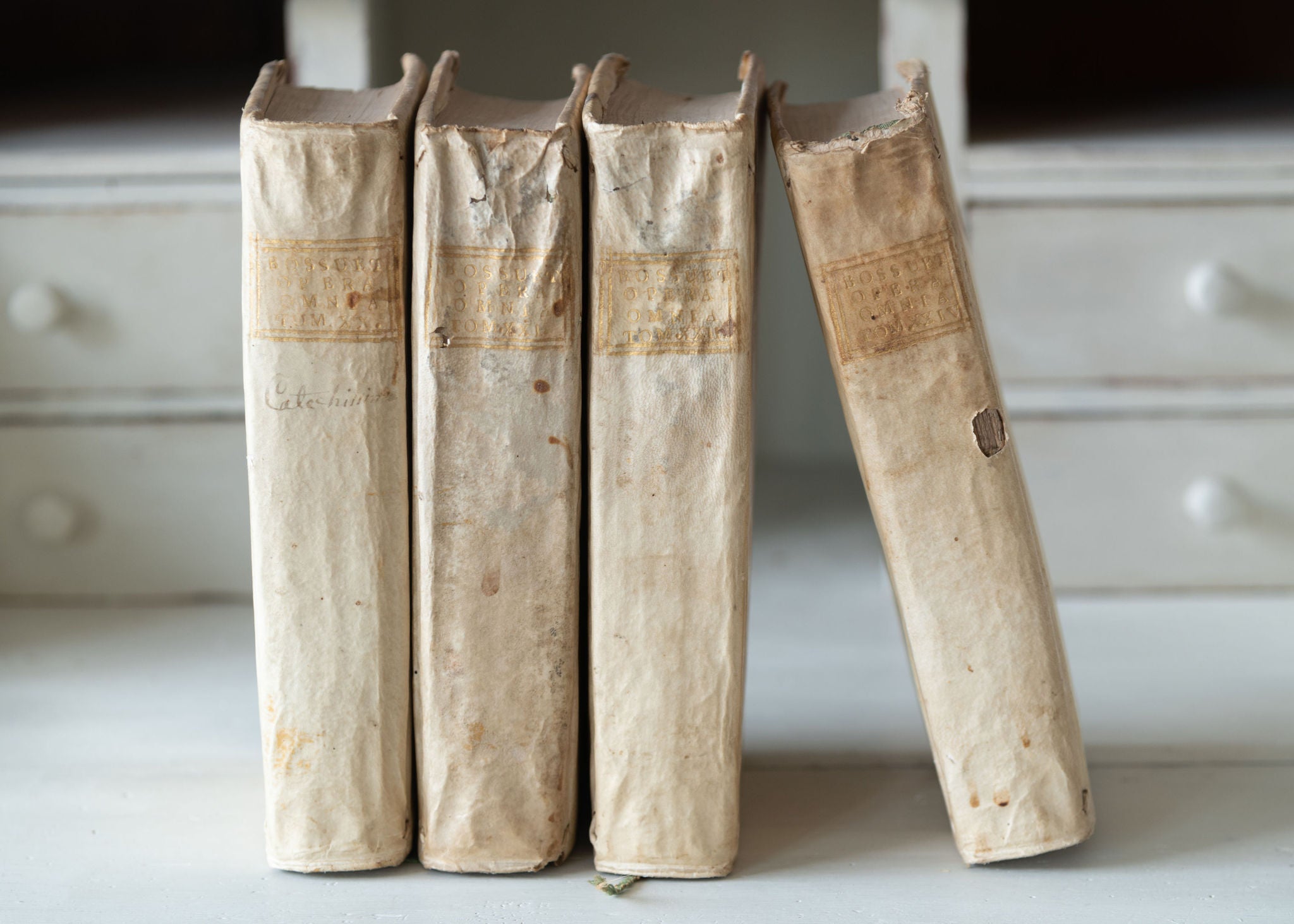 Collection antique 18th century Italian Vellum books