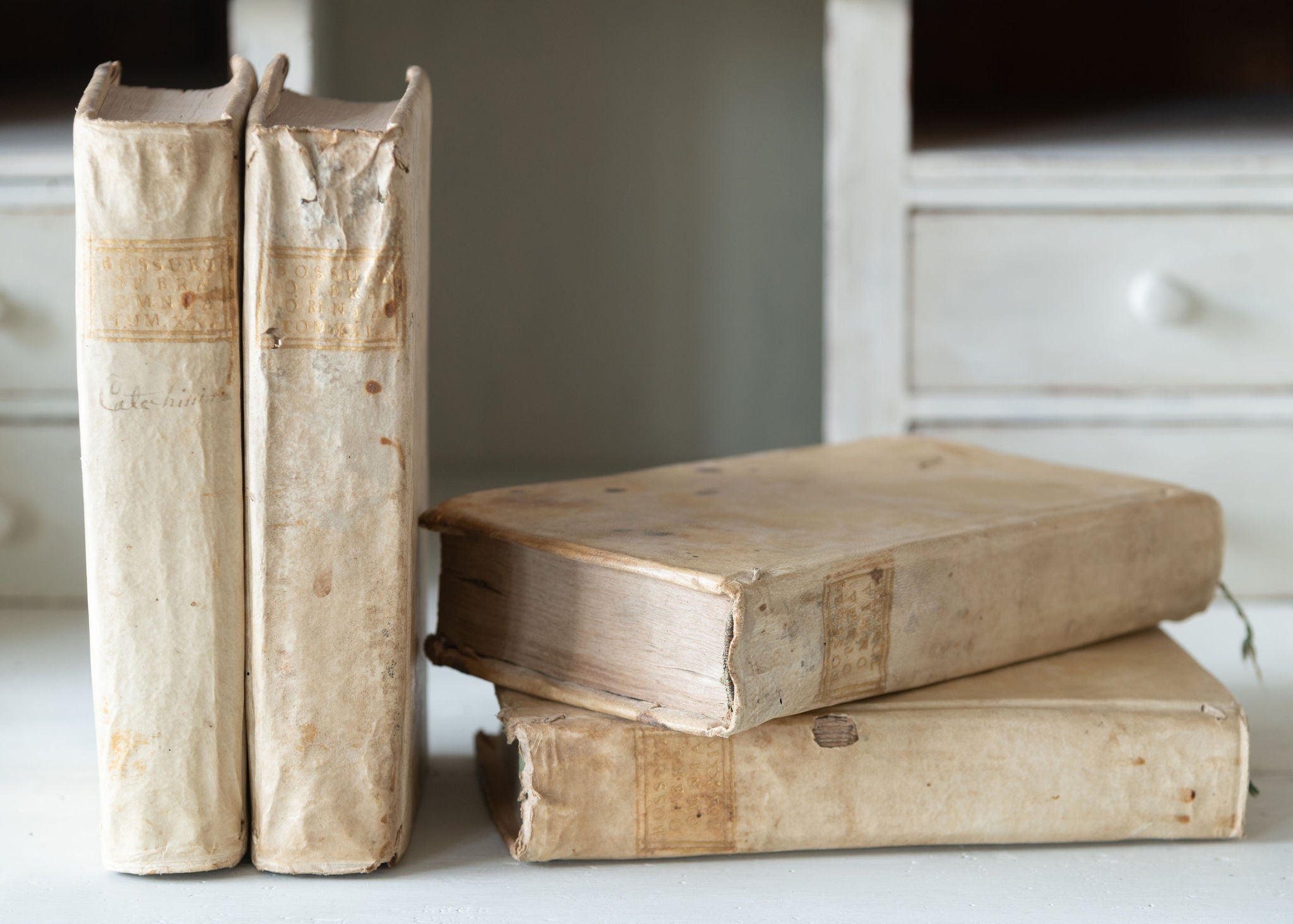 Collection antique 18th century Italian Vellum books