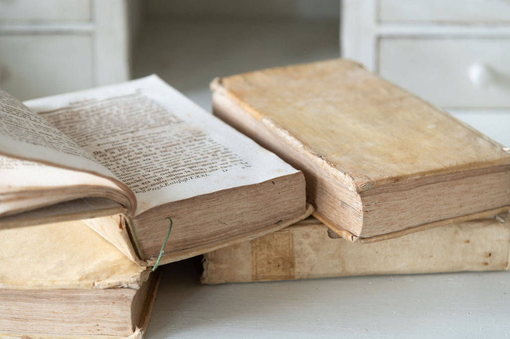 Collection antique 18th century Italian Vellum books