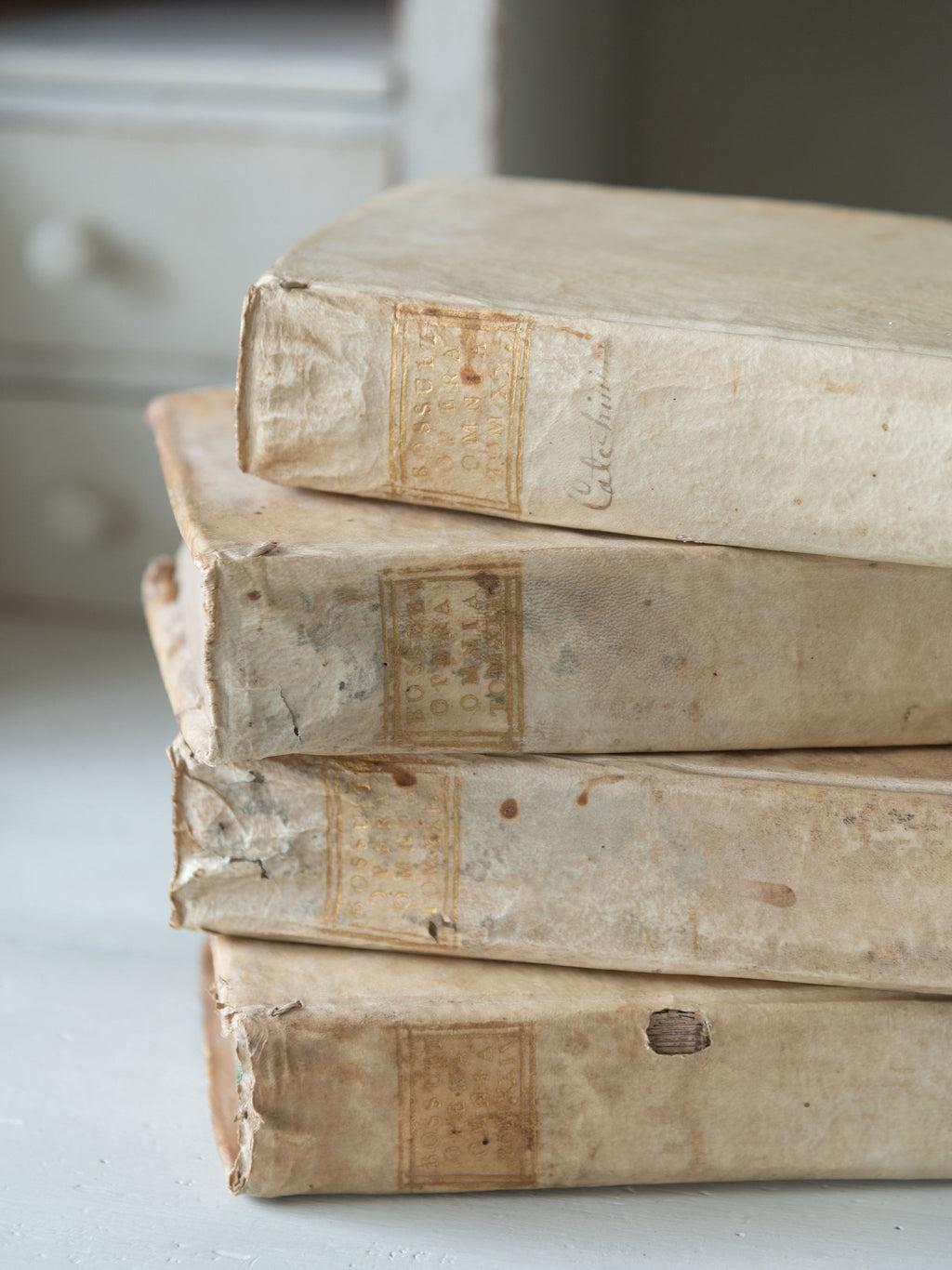 Collection antique 18th century Italian Vellum books