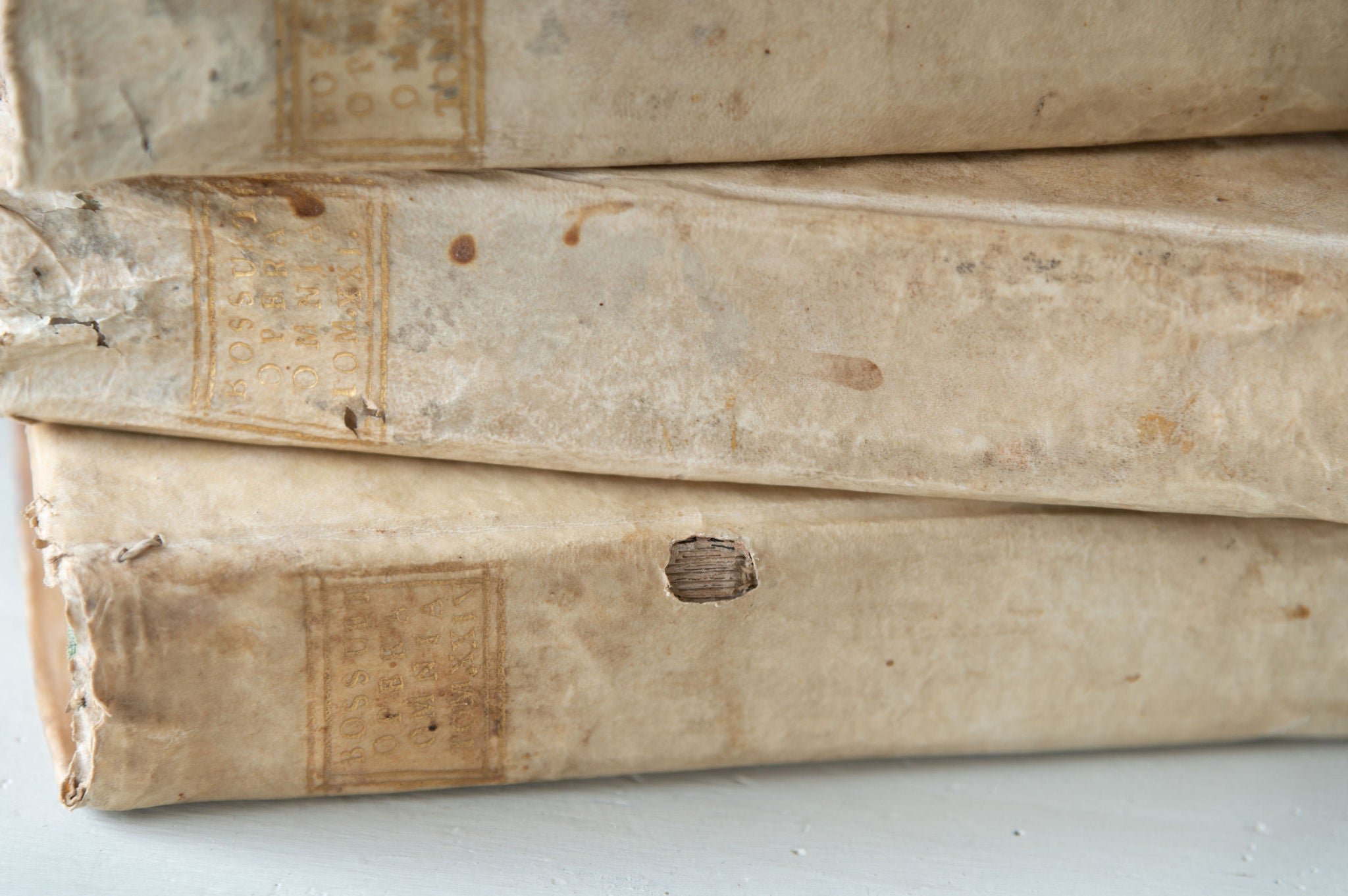 Collection antique 18th century Italian Vellum books