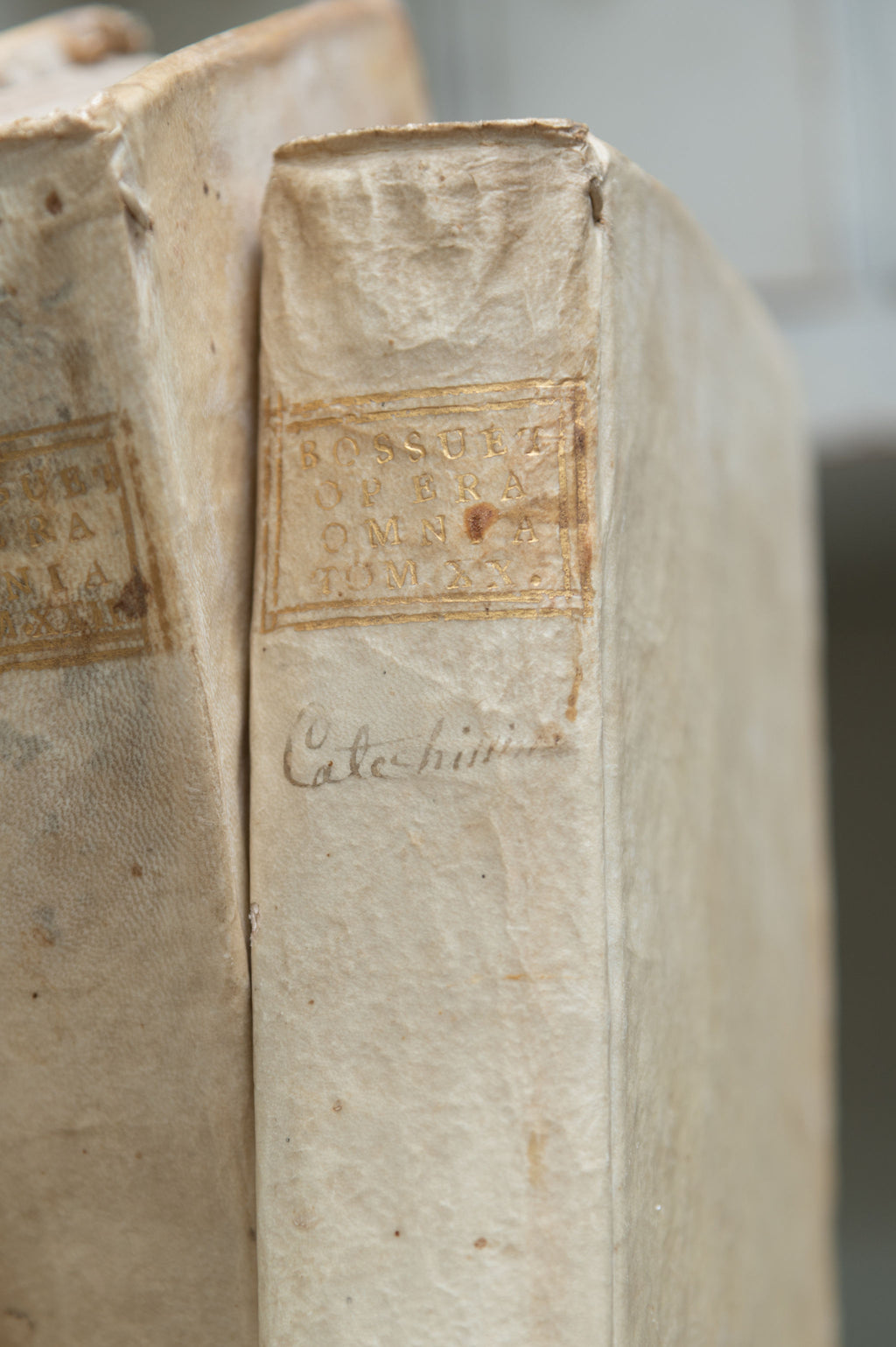 Collection antique 18th century Italian Vellum books