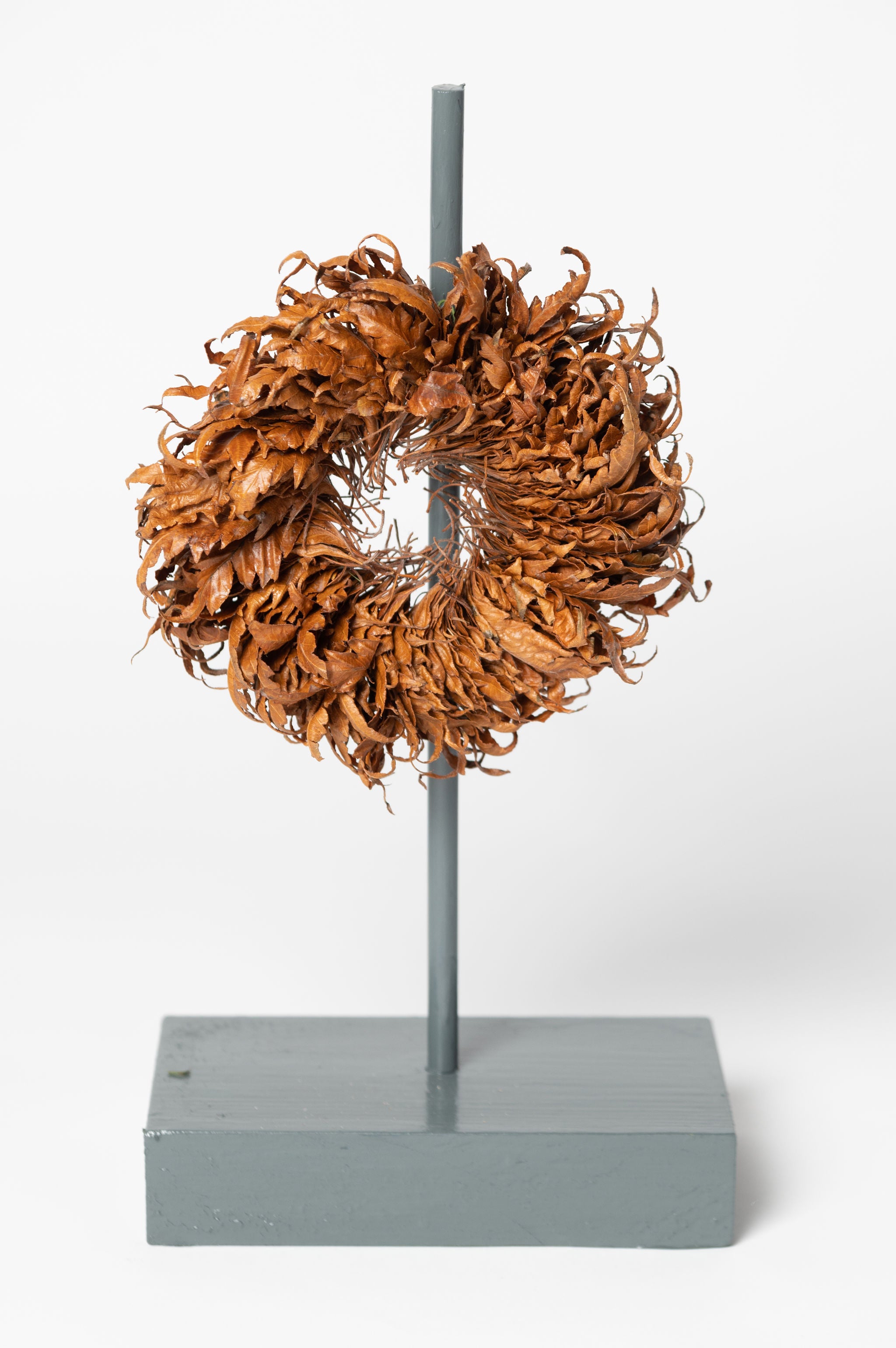 Collection of leaf sculptures by Sarah Moore