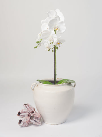 Antique French White Glazed confit pot from Toulouse