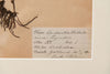 Framed Antique 19th Century Swedish Herbarium