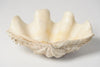 Beautiful Vintage Clam Shell