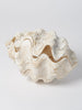 Complete Ruffle Clam shell