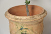 Pair Authentic Handcrafted Anduze Planters dated 2010