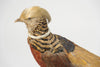 Pair Vintage Golden Pheasants Taxidermy Birds