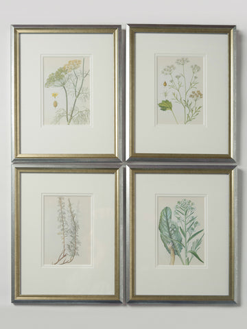 Vintage Botanical Bookplates framed