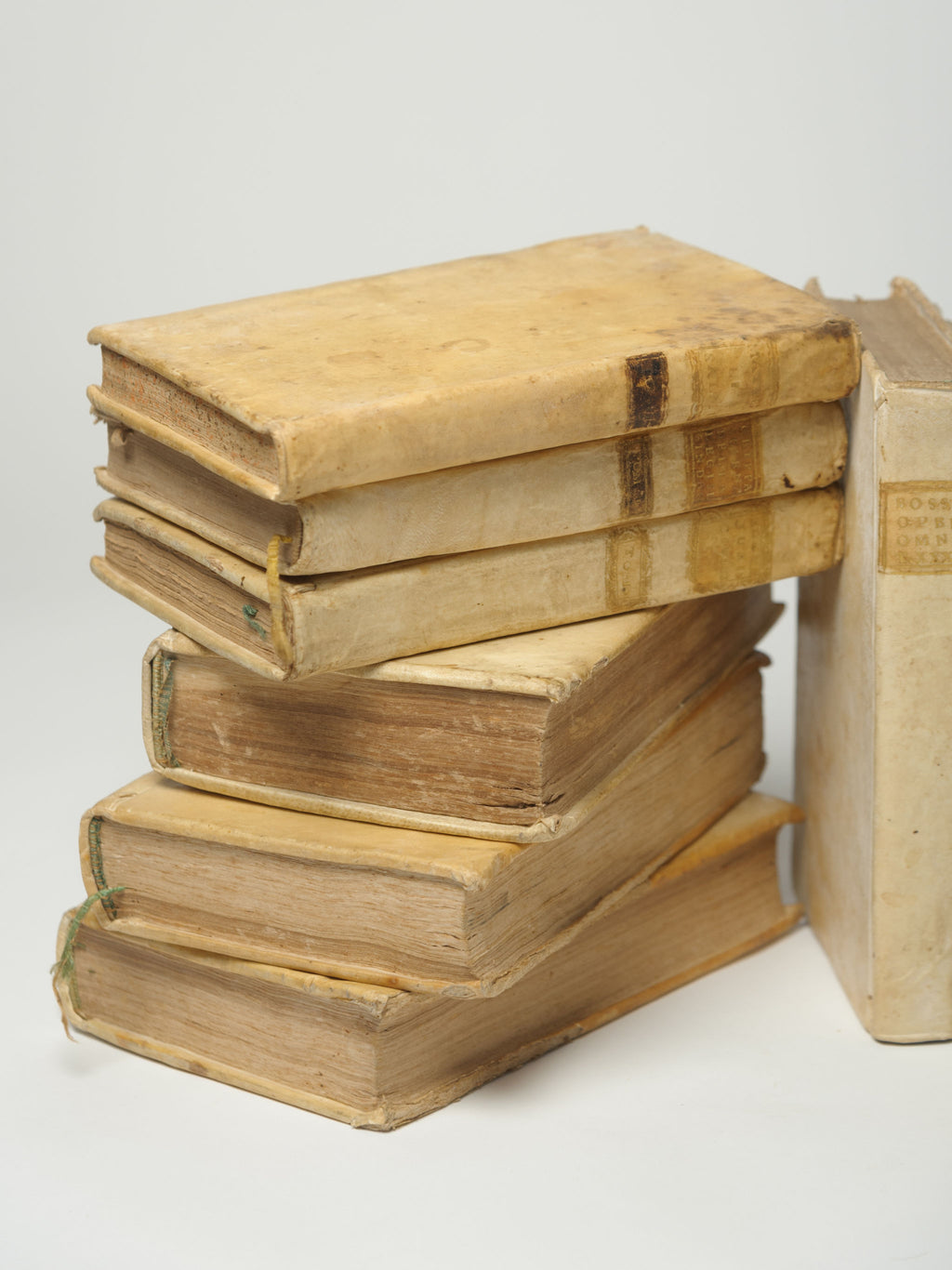 Antique 18th Century Italian Vellum Books