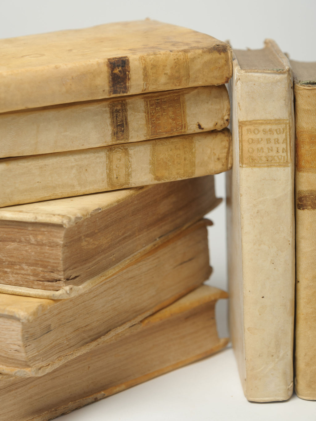 Antique 18th Century Italian Vellum Books