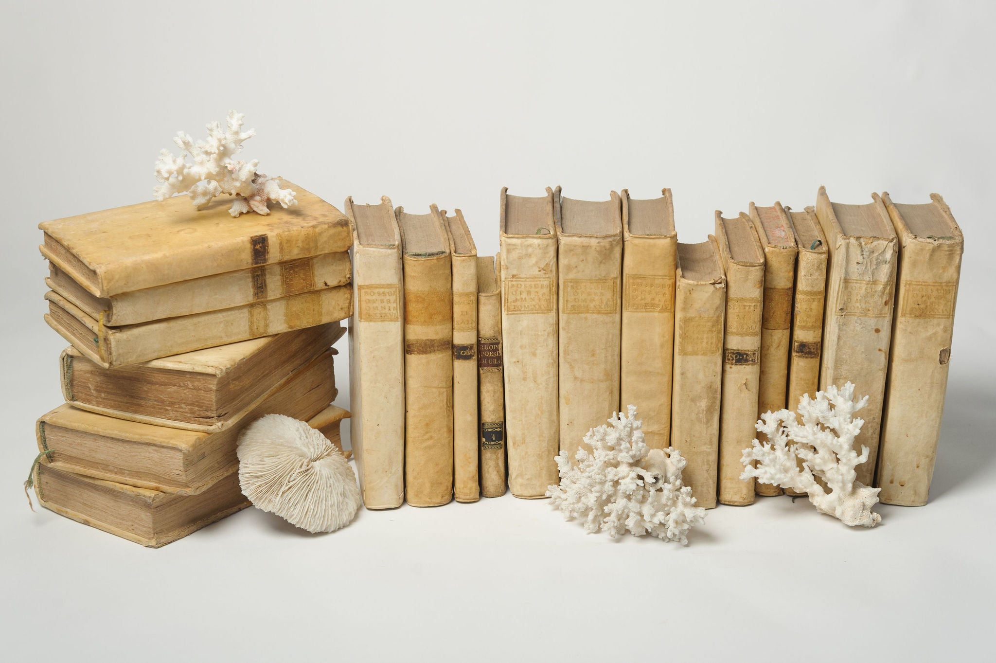 Antique 18th Century Italian Vellum Books