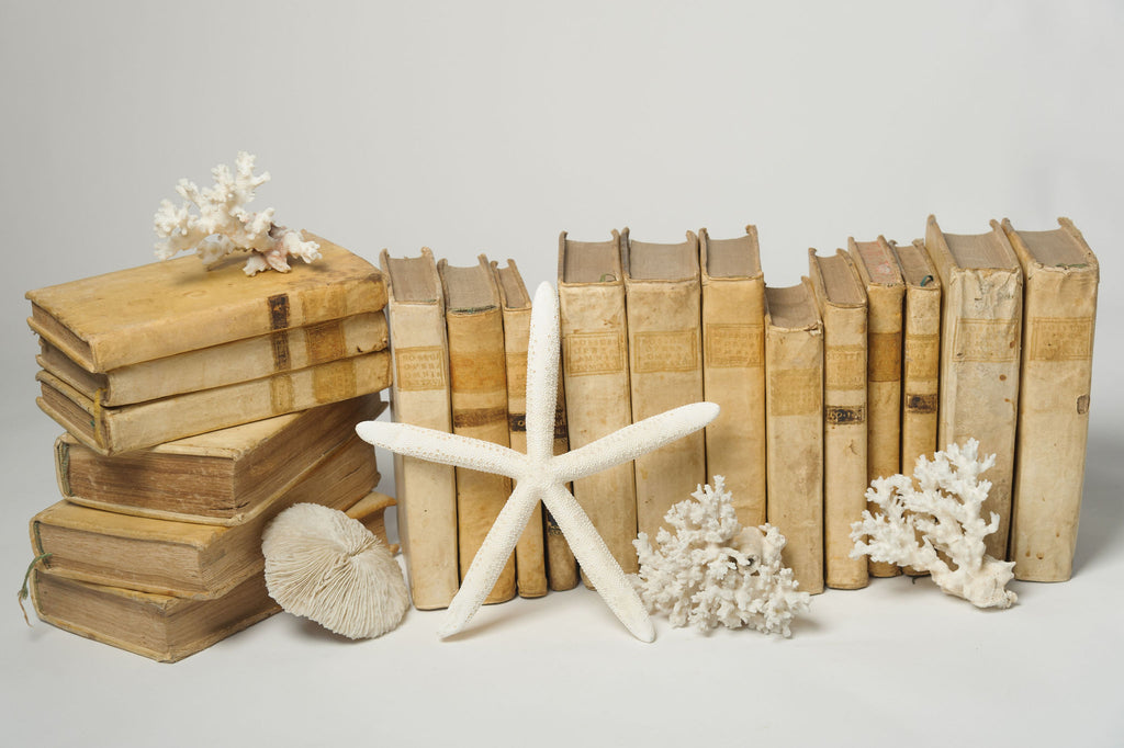 Antique 18th Century Italian Vellum Books