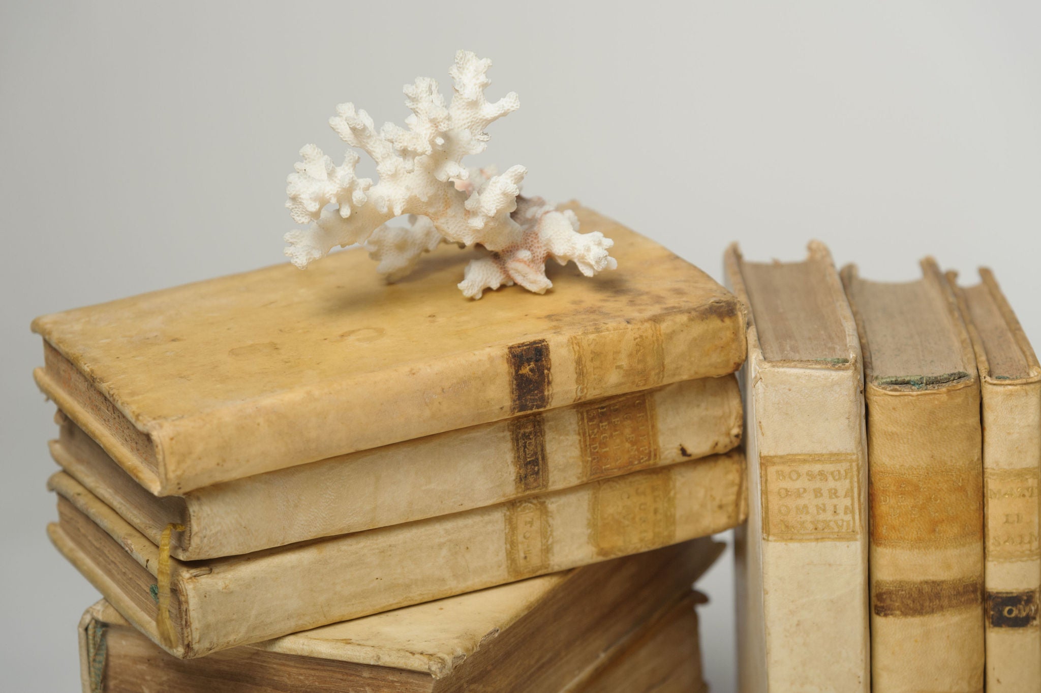 Antique 18th Century Italian Vellum Books