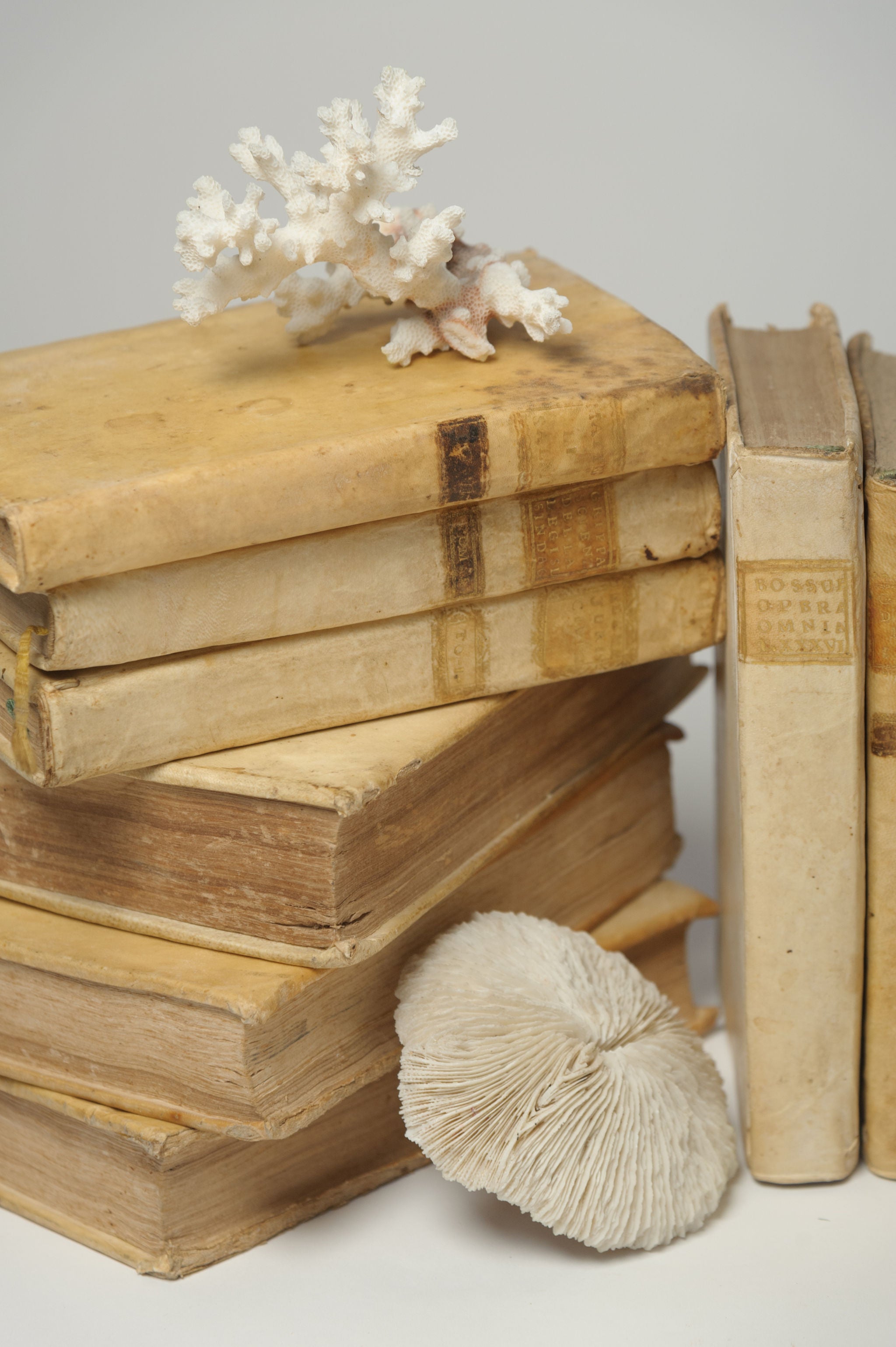 Antique 18th Century Italian Vellum Books